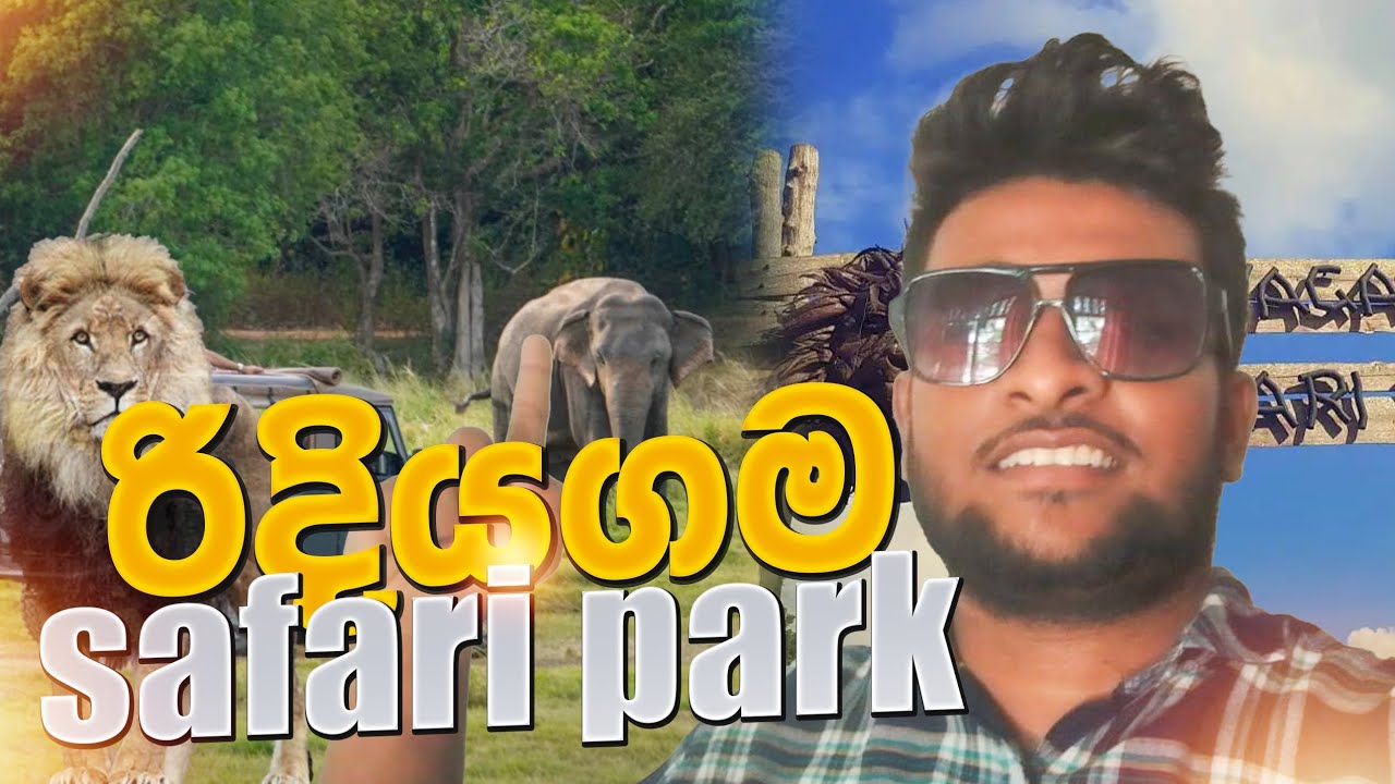 වල් අලි අතගාන්න , සින්හයෝ 🐯කොටි නිදහසේ බලන්න පුළුවන් එකම තැන | Travel with Dilmith 