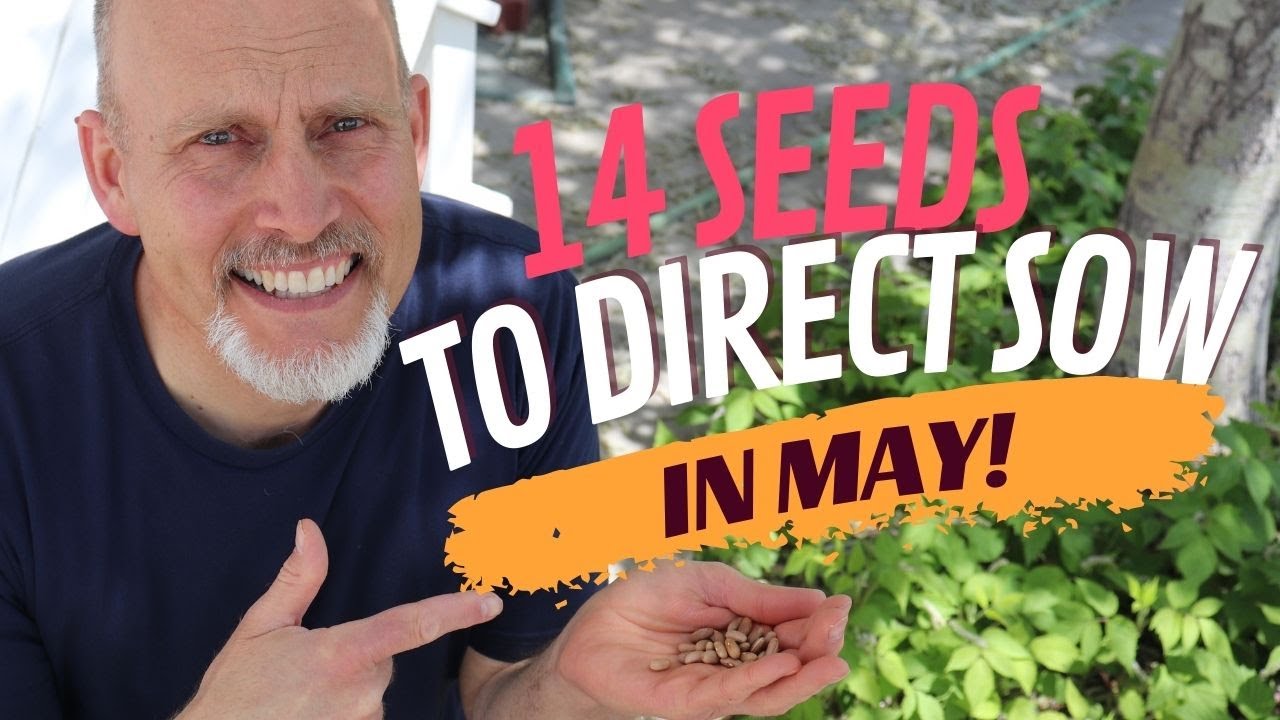 14 Seeds you can Still Direct Sow in May