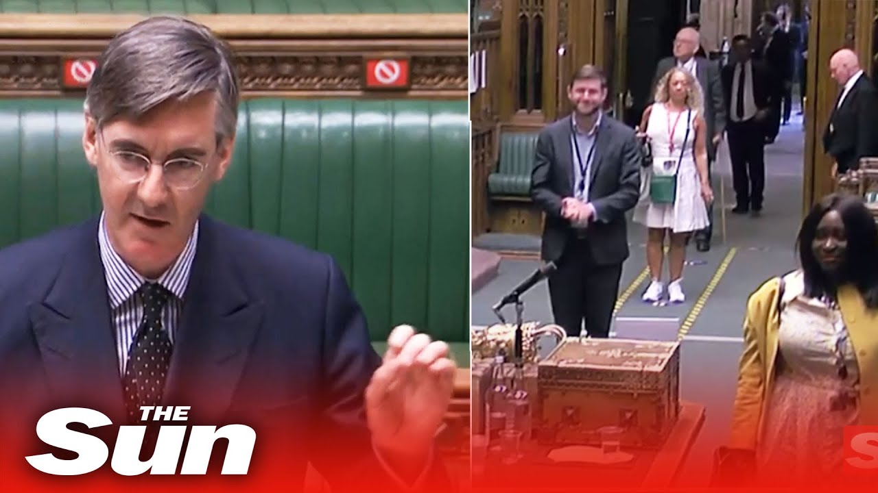 Rees-Mogg's end to 'virtual' parliament sees MPs queuing to vote in a ridiculously long line