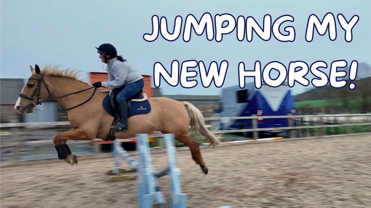 JUMPING MY NEW HORSE AT HOME FOR THE FIRST TIME
