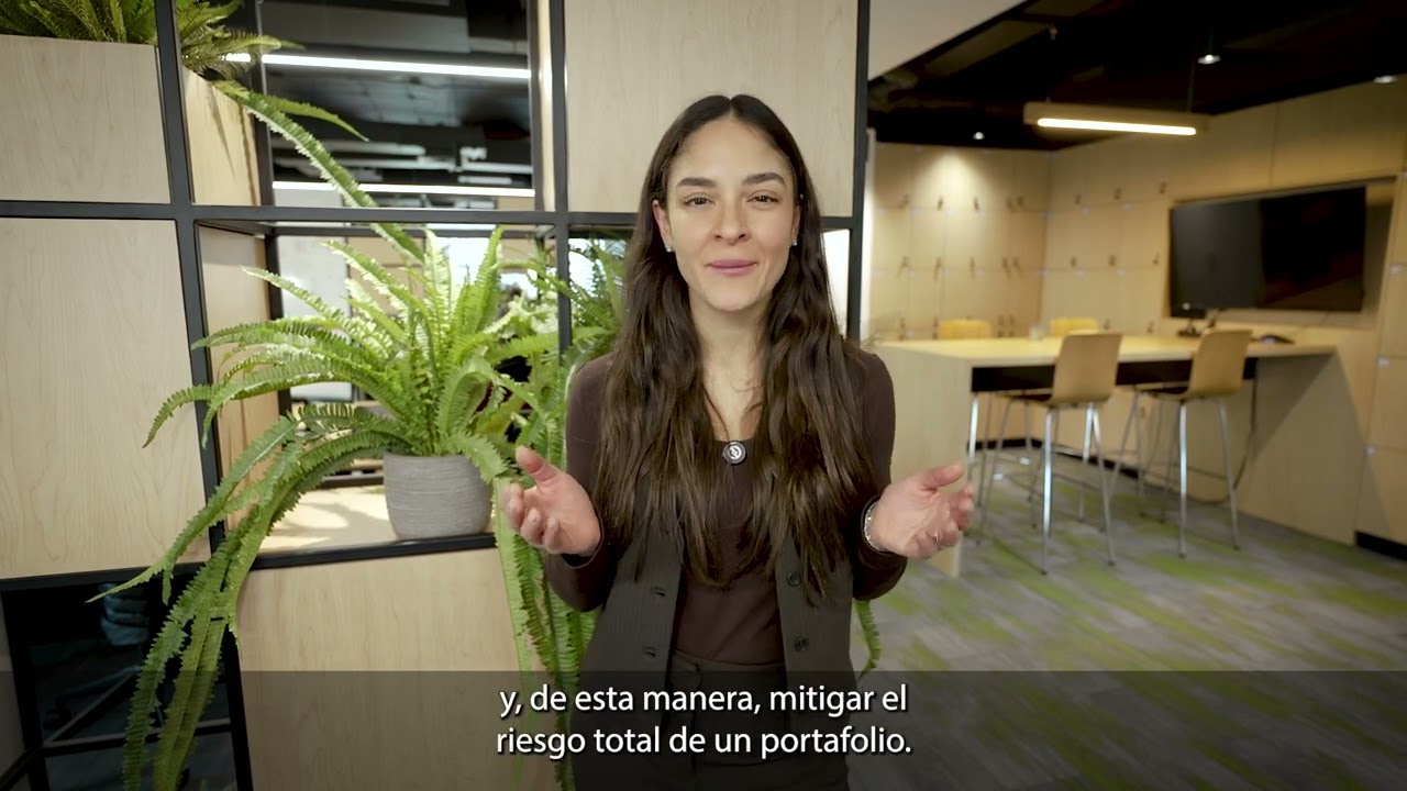 &iquest;Qu&eacute; es la diversificaci&oacute;n?