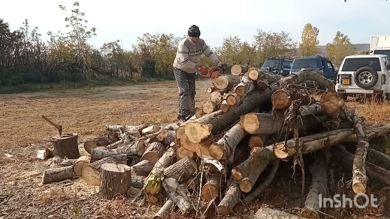 Husqvarna 435 și toporul Magnuson la tăiat lemne