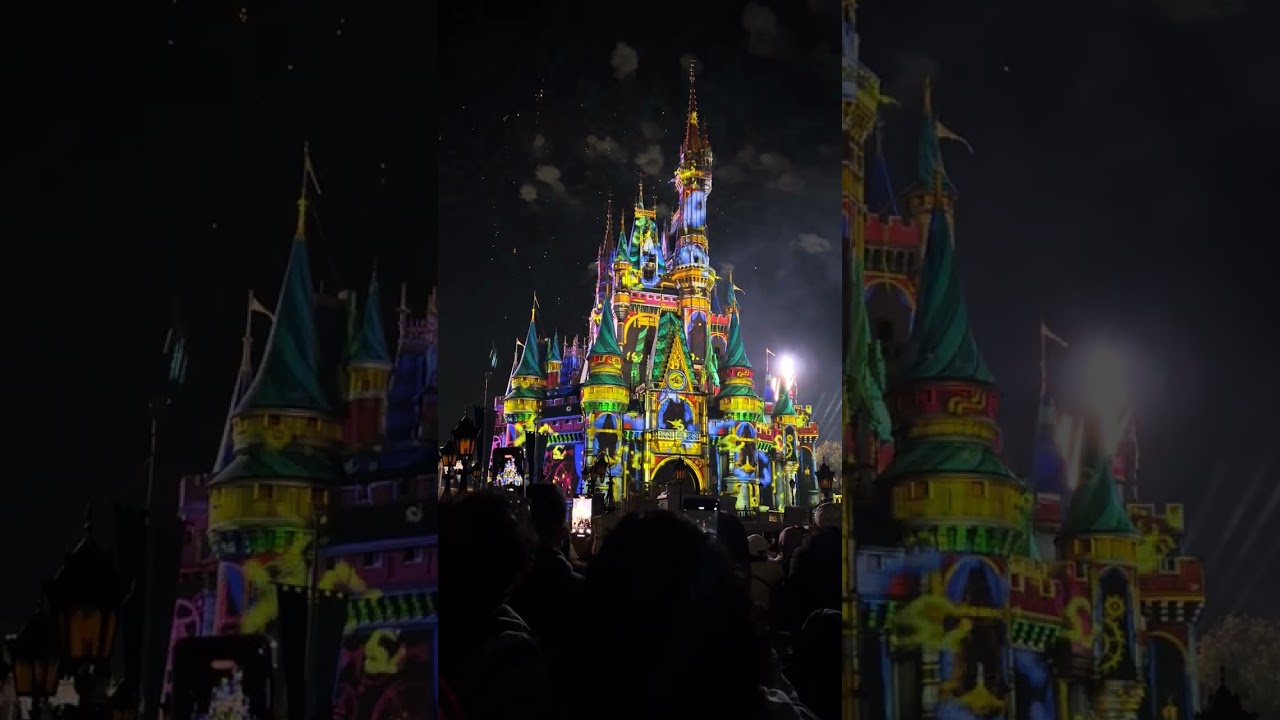 20260128 Disney - Magic Kingdom