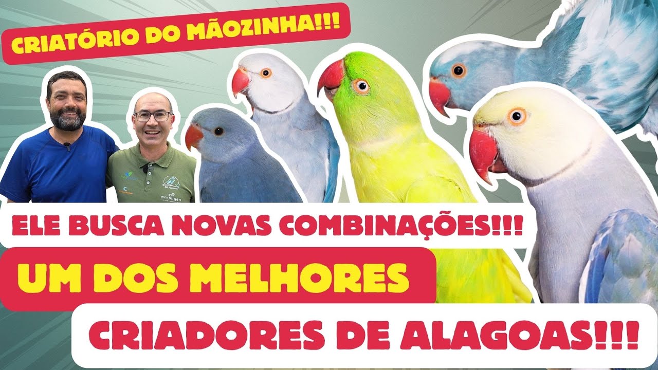 LUCIANO MÃOZINHA!TEM NINHADA DE LUXO!UM DOS MAIORES DE ALAGOAS!!