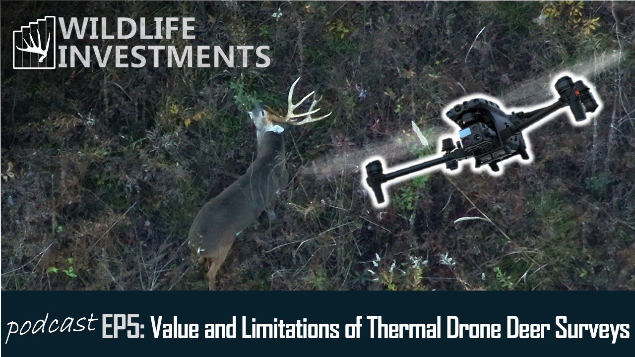 Value and Limitations of Thermal Drone Deer Surveys