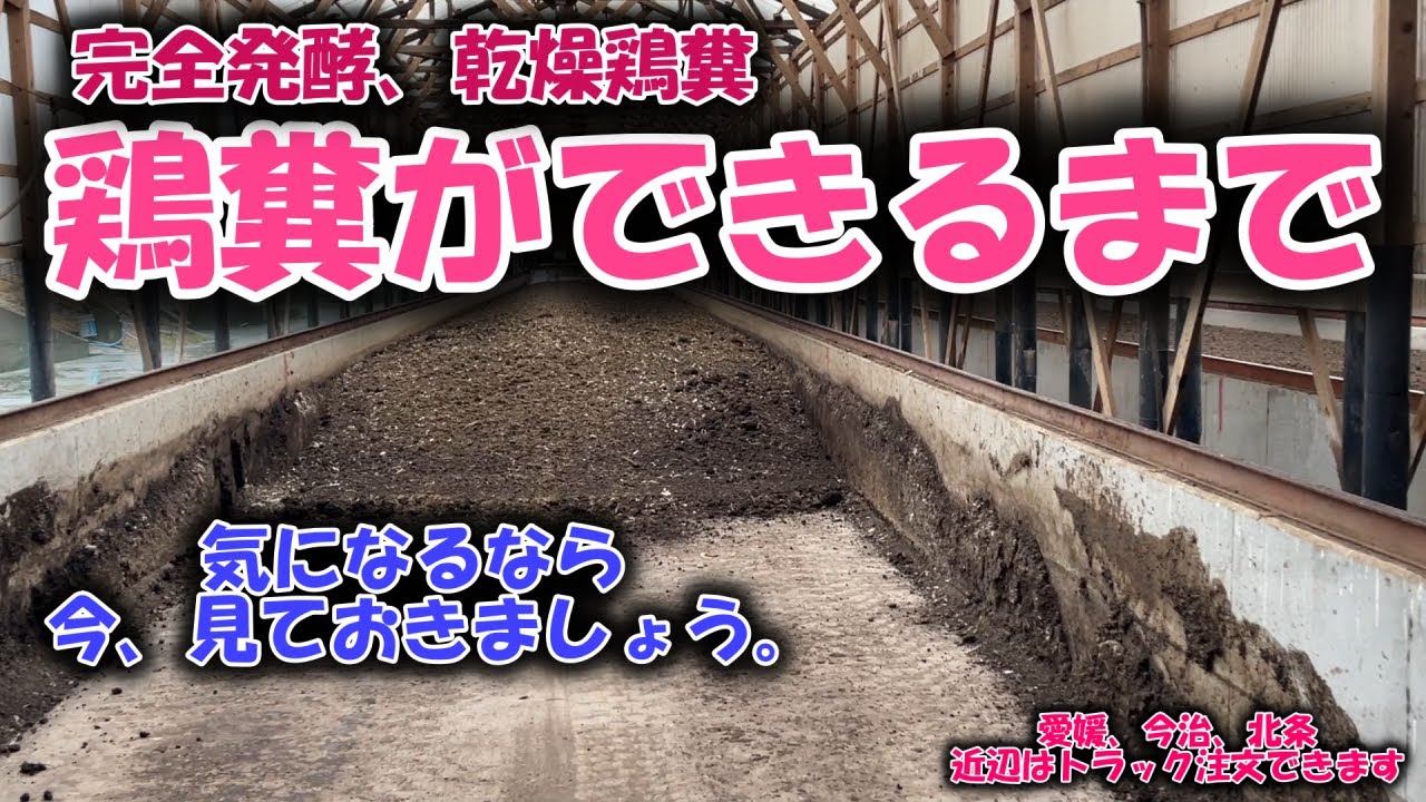 鶏糞が肥料としてできるまでを撮影してさせていただきました。循環型肥料を活用しましょう！