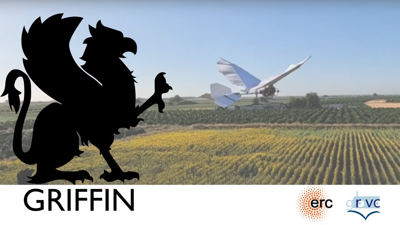 Long Range GRIFFIN Flapping Wing Flight Experiments