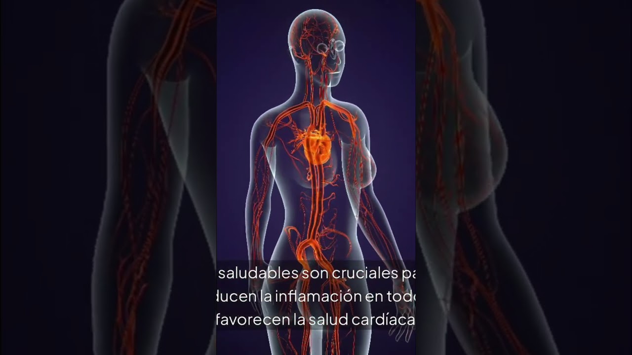 ¡Las Semillas Son Tu Poder Secreto! Transforma Tu Salud HOY