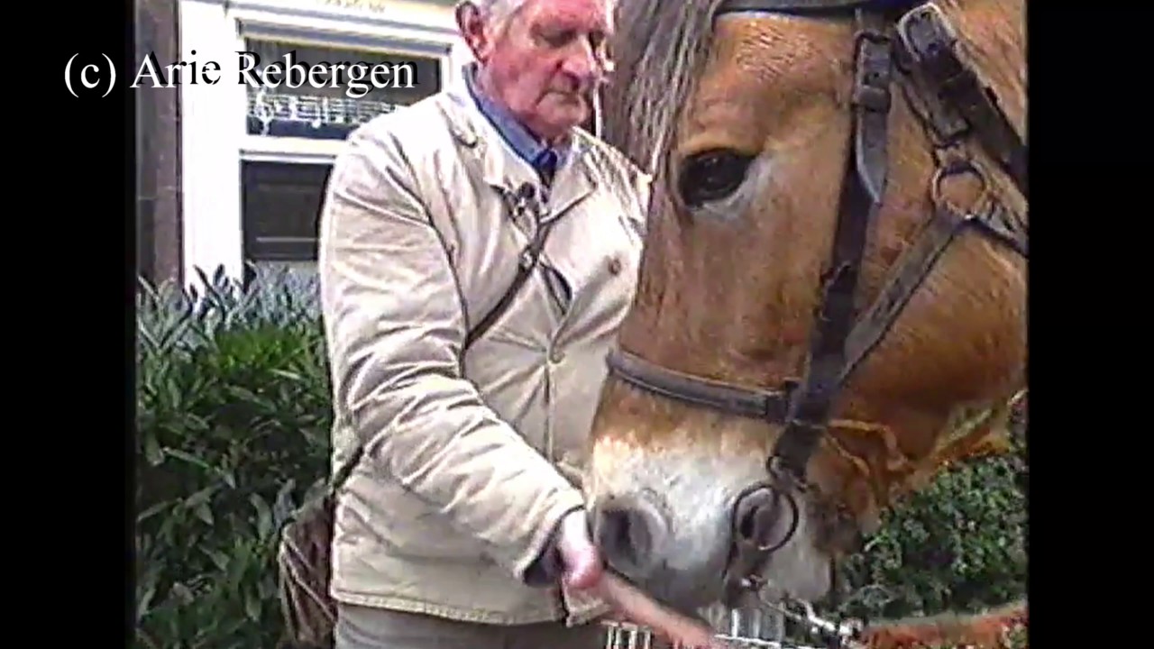 Amerongen Lettus melkboer
