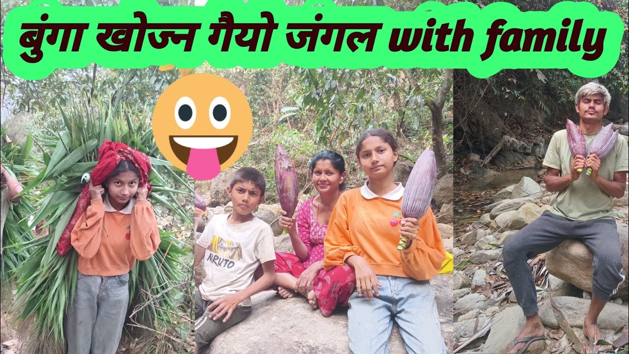 Bunga hunting with family in the forest #bunga KO achar #dailyvlogs #gaule jeewan 