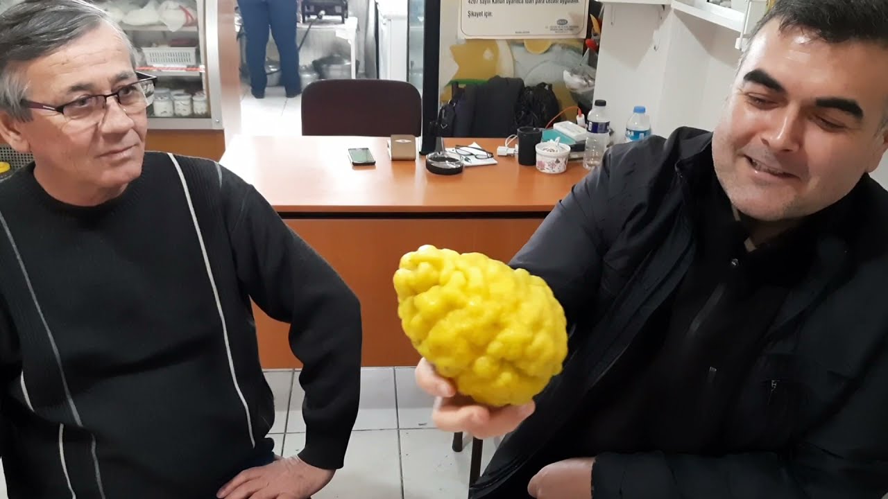 Çerkes'Z Mutfağı , Balıkesir Güncesi 3 / Балыкесир къалэ