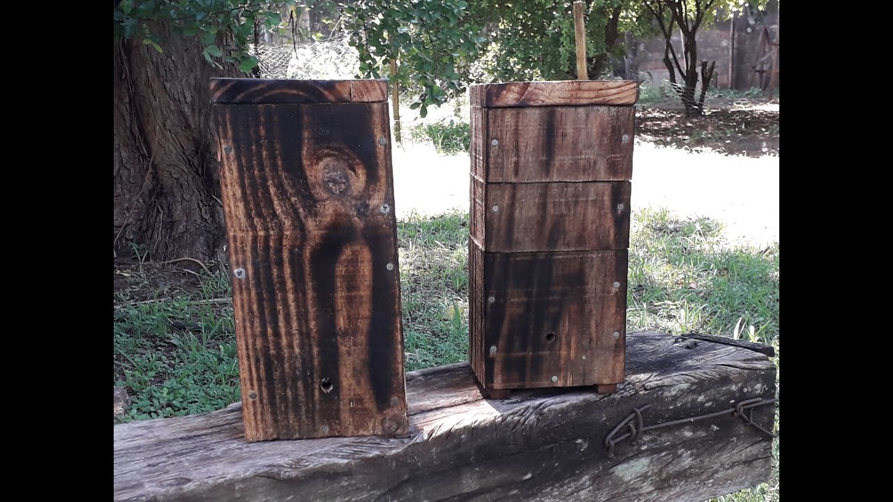 Abelha Jatai caixa Inpa e Wf