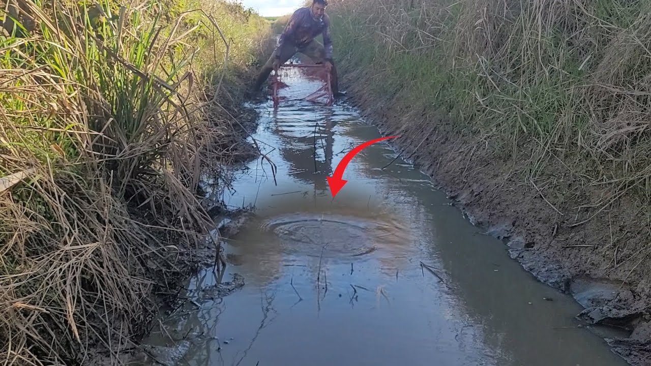 O QUE ACHAMOS NESSE VALÃO ABANDONADO NOS DEIXOU SURPRESOS!
