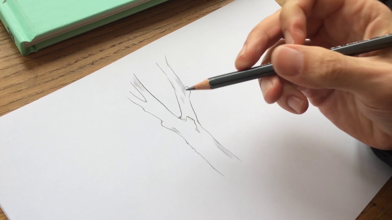 Zep : Comment dessiner 