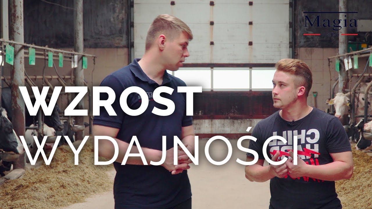 ZARABIAJ WIĘCEJ NA MLEKU | Popraw parametry | Poznaj opinię naszego klienta [MAGIA AGRO]