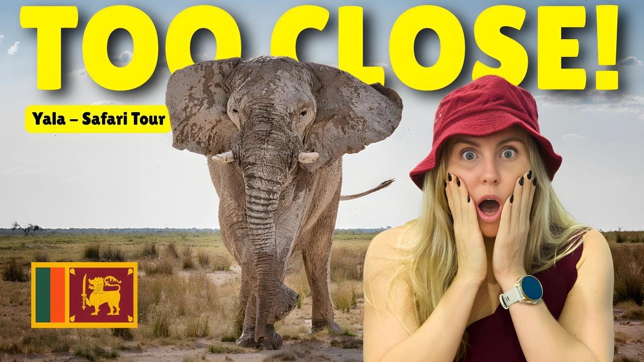 ДИКИЙ СЛОН ПОДОШЁЛ СЛИШКОМ БЛИЗКО! 🐘 (Мы чуть не застряли в Яле)