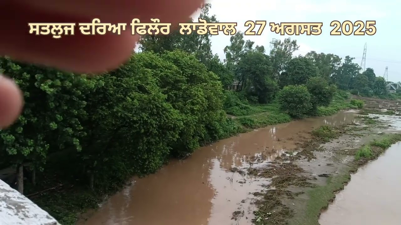 Satluj river phillaur on  ladhowal bridge ( 27/8/2025)👀🌊