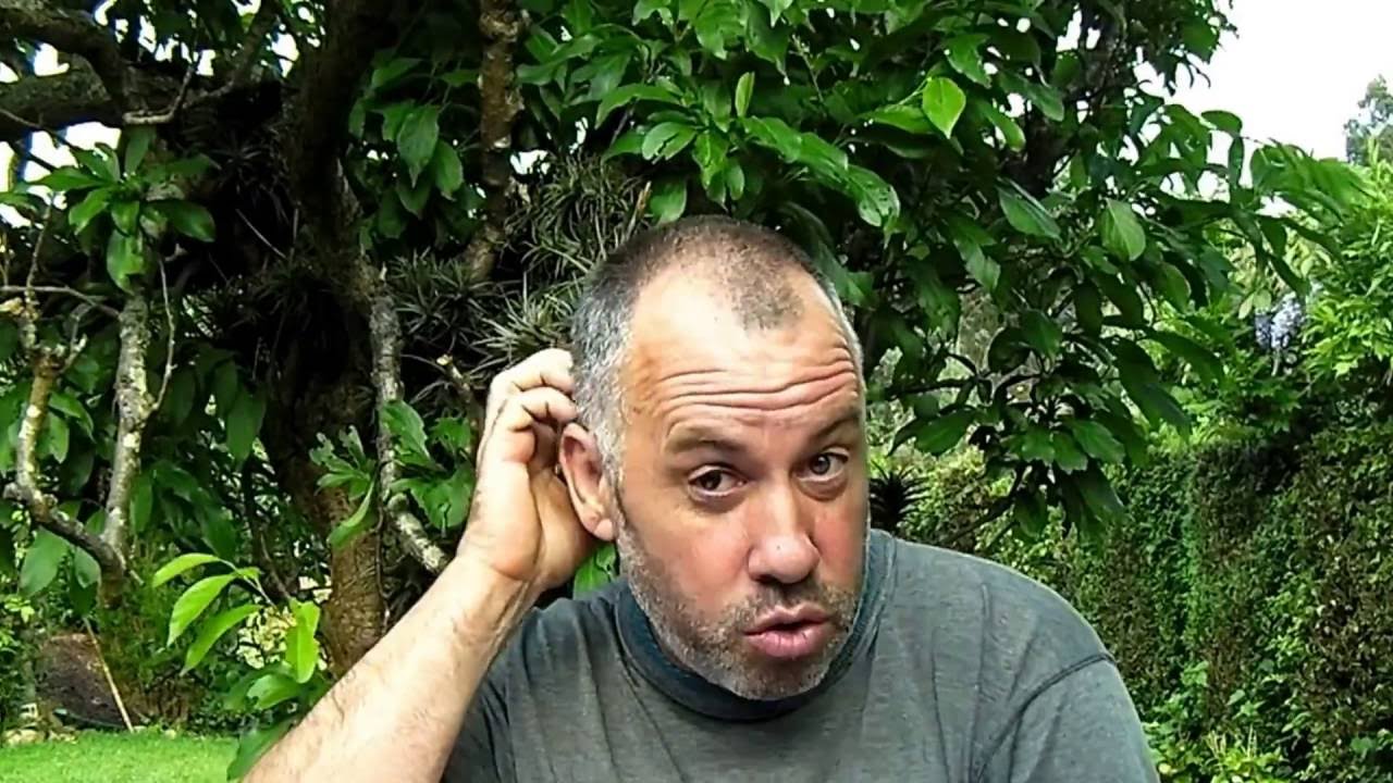 Topos y topillos remedio natural para alejarlos de vuestra finca o jardin