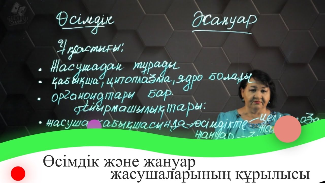 Өсімдік және жануар жасушаларының құрылысы. 7 сынып.