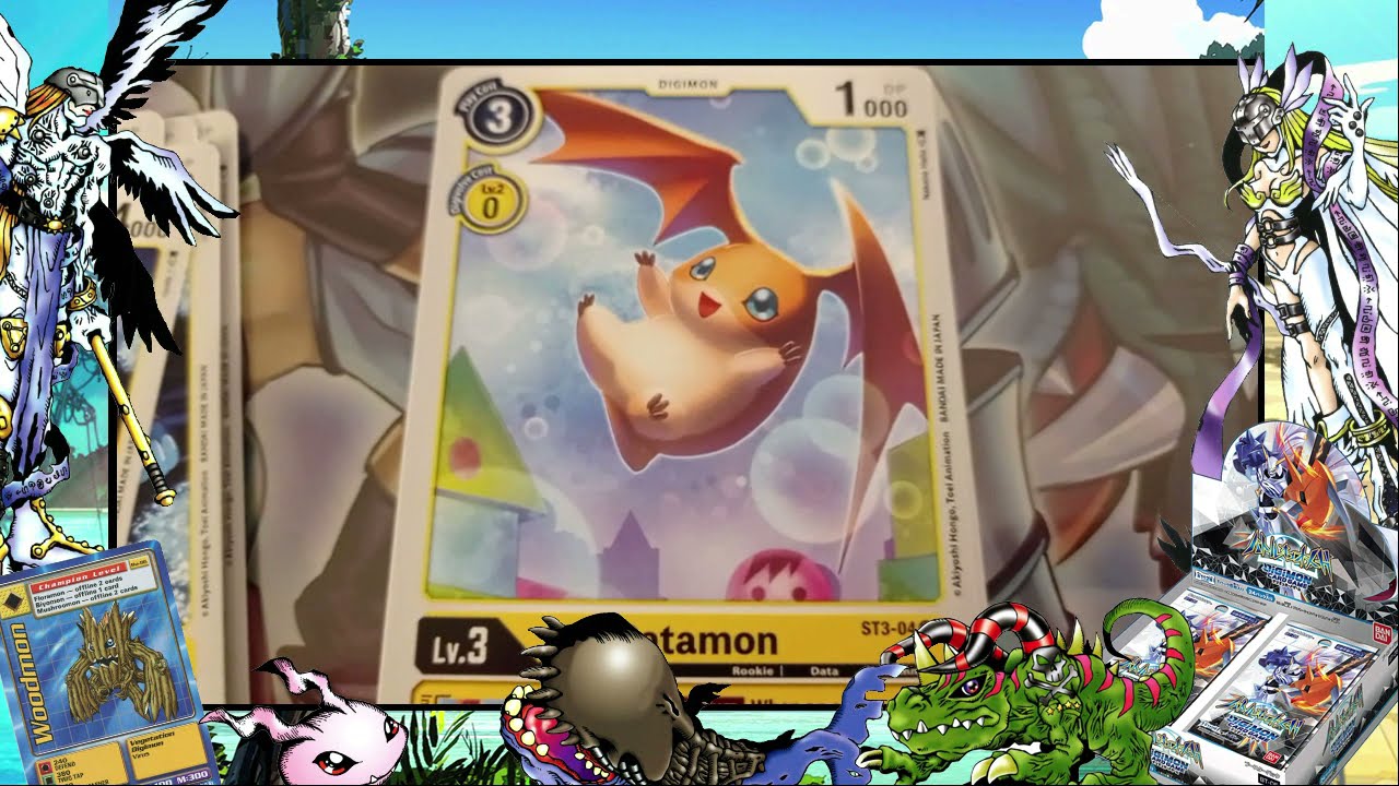 Nerdtum der Kindheit -Digimon Card Game (Neu + Alt)