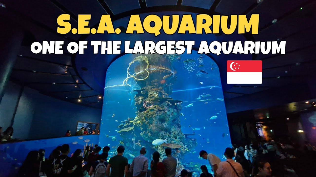 S.E.A. AQUARIUM WATERFRONT SENTOSA SINGAPORE | Jeff Rivera