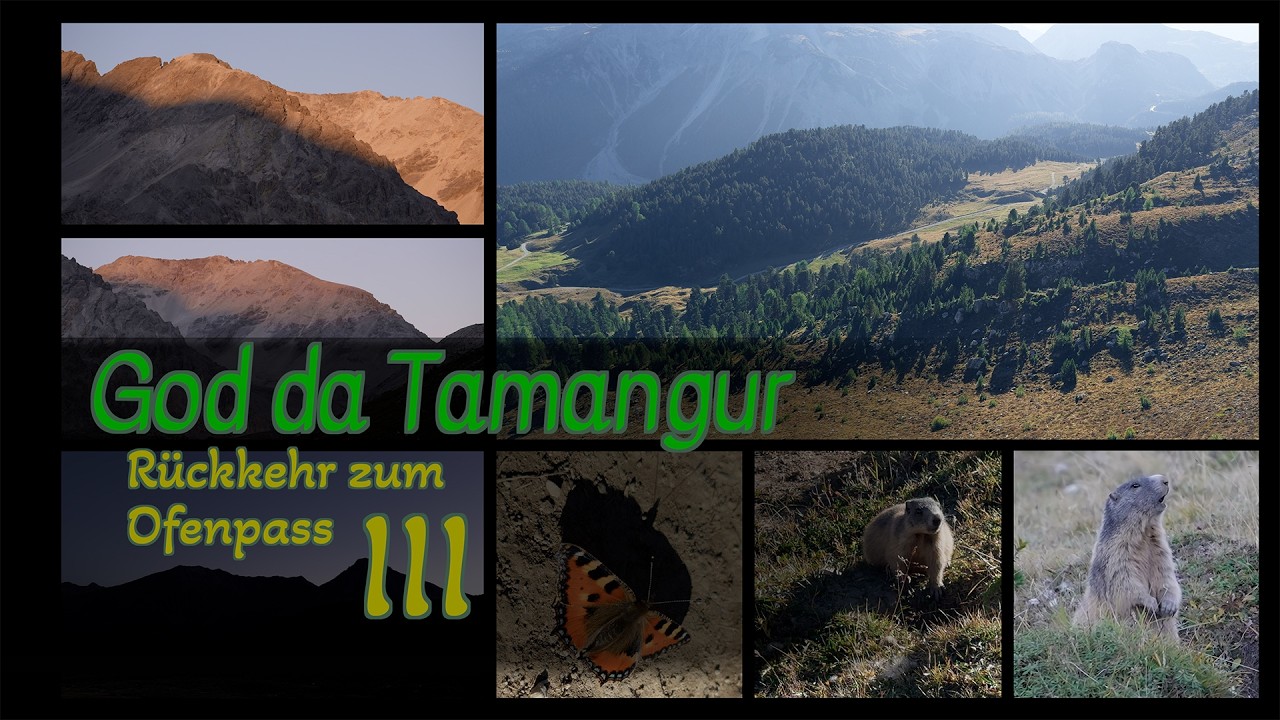 God Tamangur III - Weg zum Ofenpass, Murmeltier Spektakel, Letzte Sonnenstrahlen und Blaue Stunde