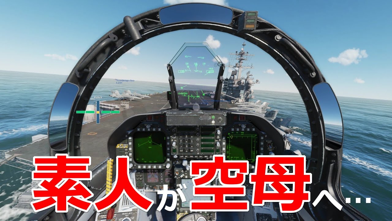 初心者が戦闘機で空母に降りてみたらこうなった【日本げーむ情報】 DCS World
