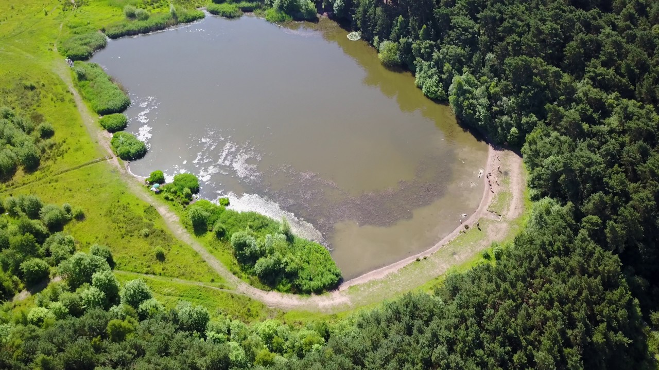 Cannock Chase (Old quarry)