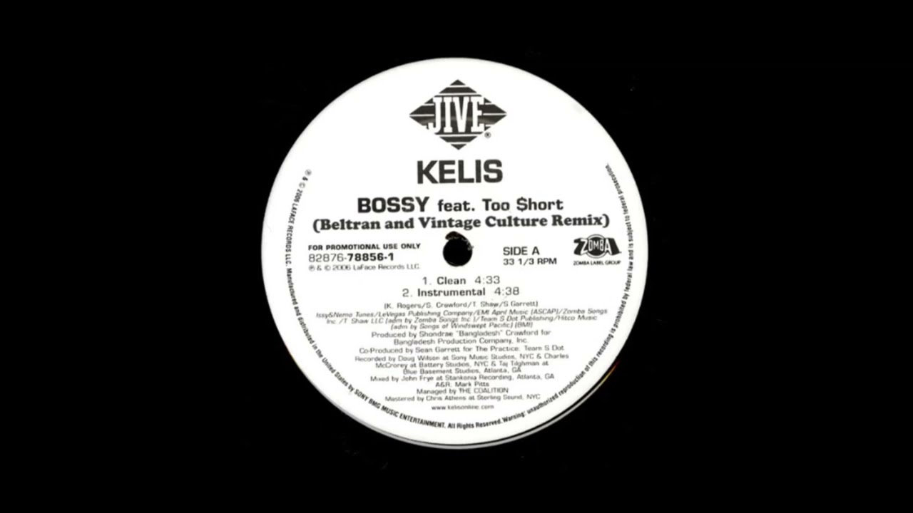 Kelis - Bossy (Beltran & Vintage Culture Remix)
