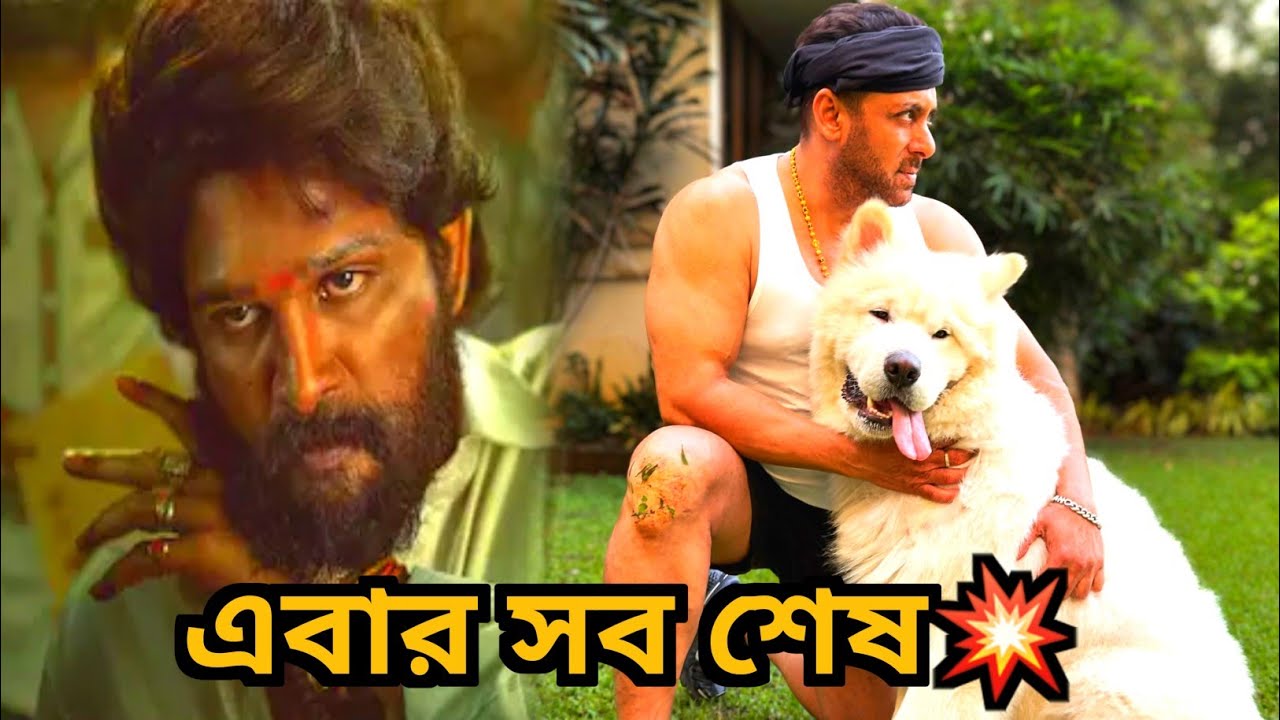 ওরে ভাইজান Pushpa 3 তে?💥Salman Khan X Allu Arjun in Pushpa 3🔥Biggest Cine Universe 😎