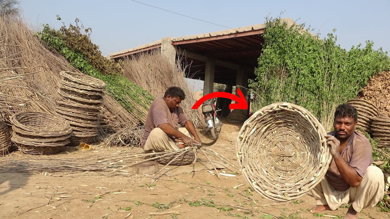 Primitive Technology Basket  Woven Twig Basket || Making a Basket from BIRCH TREE