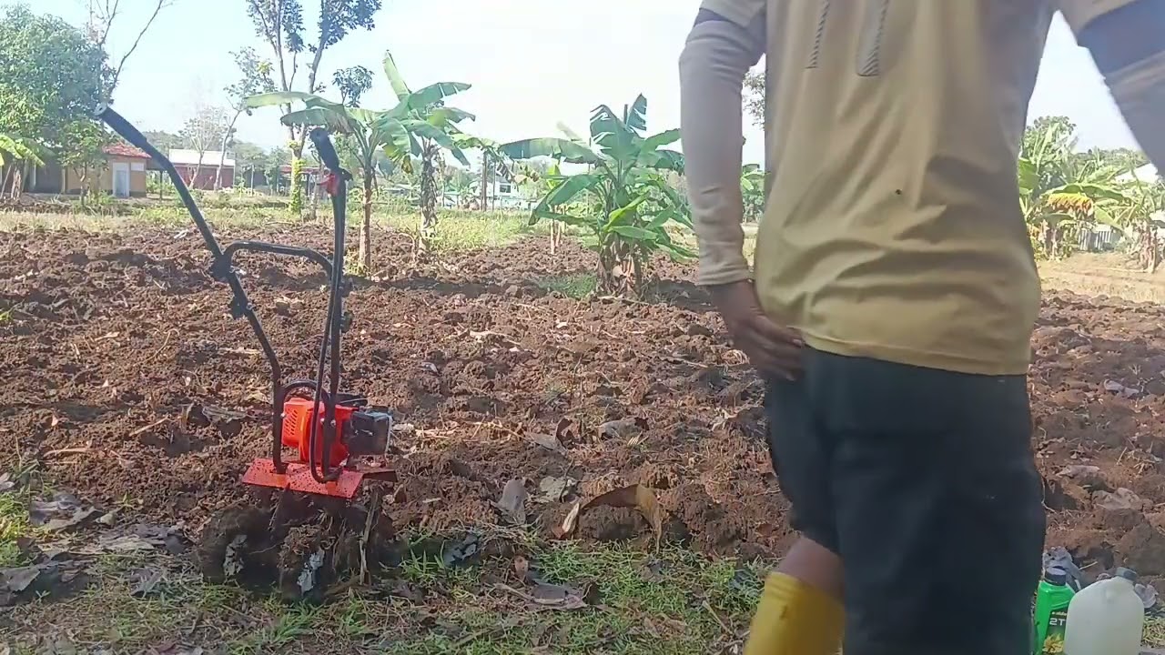 Mencoba traktor mini Reaim Mini Tiller 52 cc, puasss