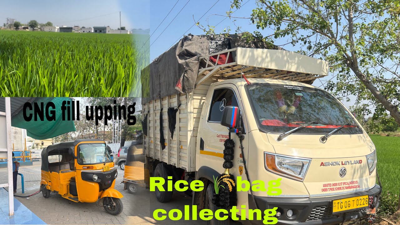 I am going to rice 🌾packet, collecting