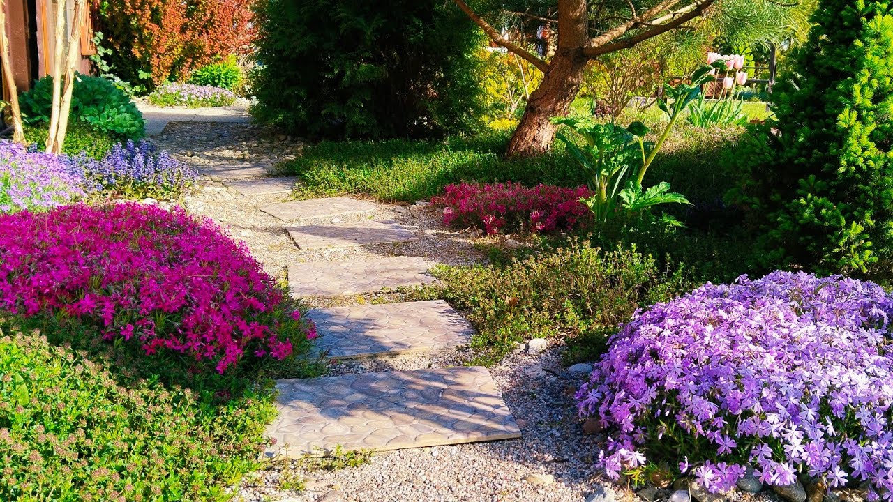 Сад, который не сдаётся 🌿 Арктический май и труд на земле #garden #сад #садоводничество 