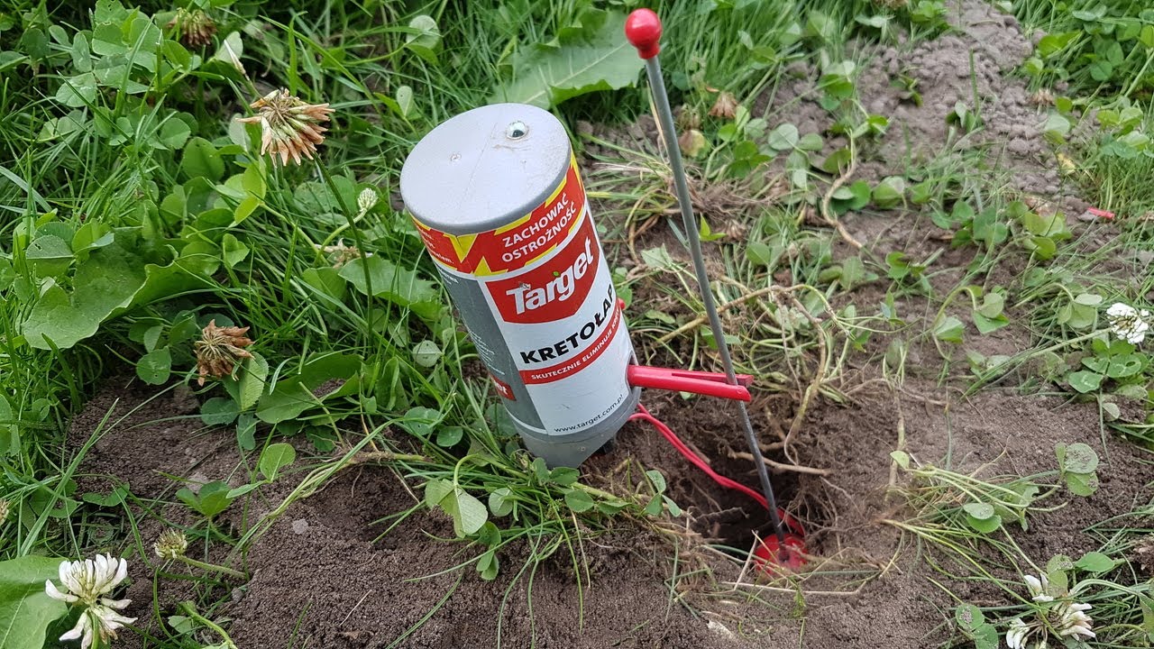 ⚡⚡NAJLEPSZY SPOS&Oacute;B NA KRETA / Wysadzanie kreta 🔥 / KRETOŁAP TARGET / Jak pozbyć się kreta💪