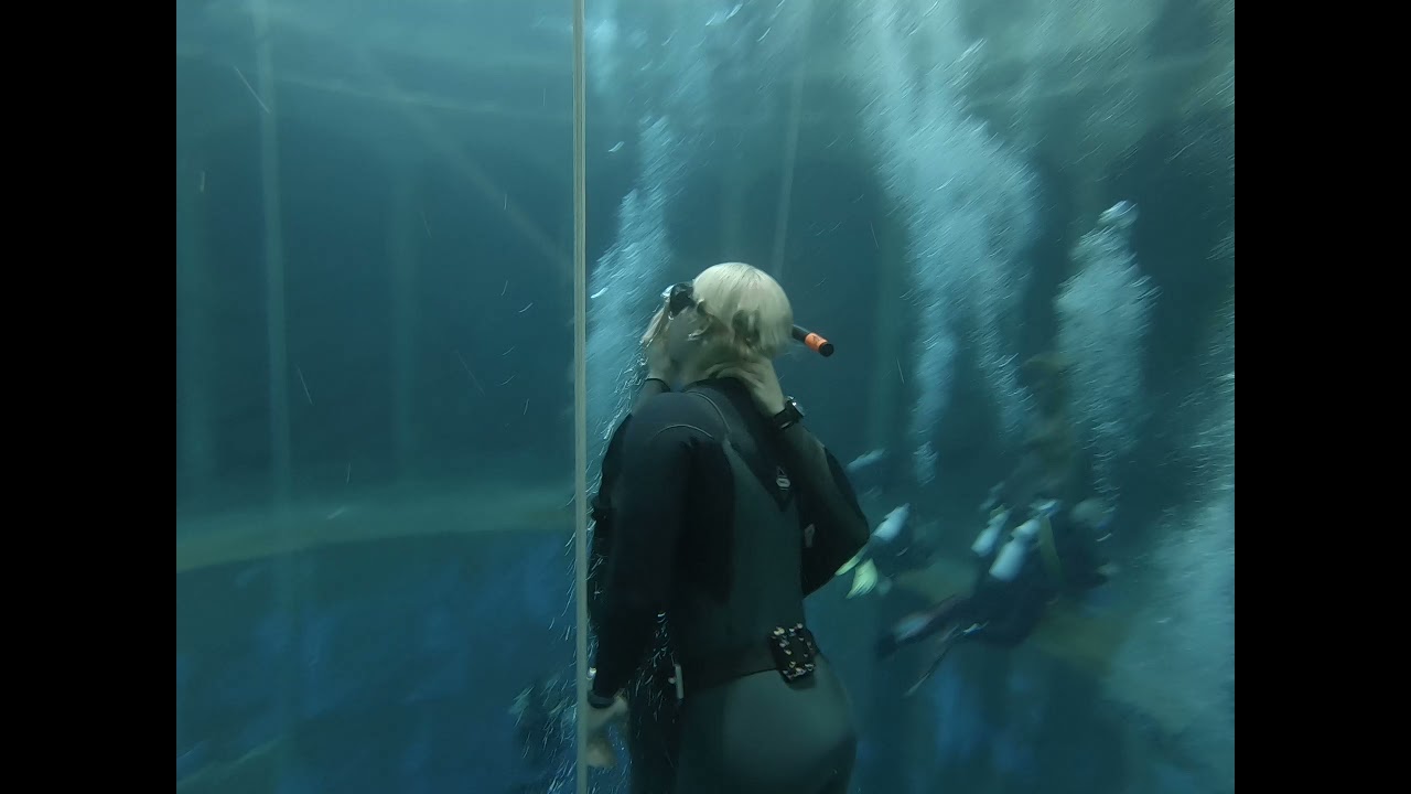 Dive4life 2021 -SSI Level 1 Freediving course