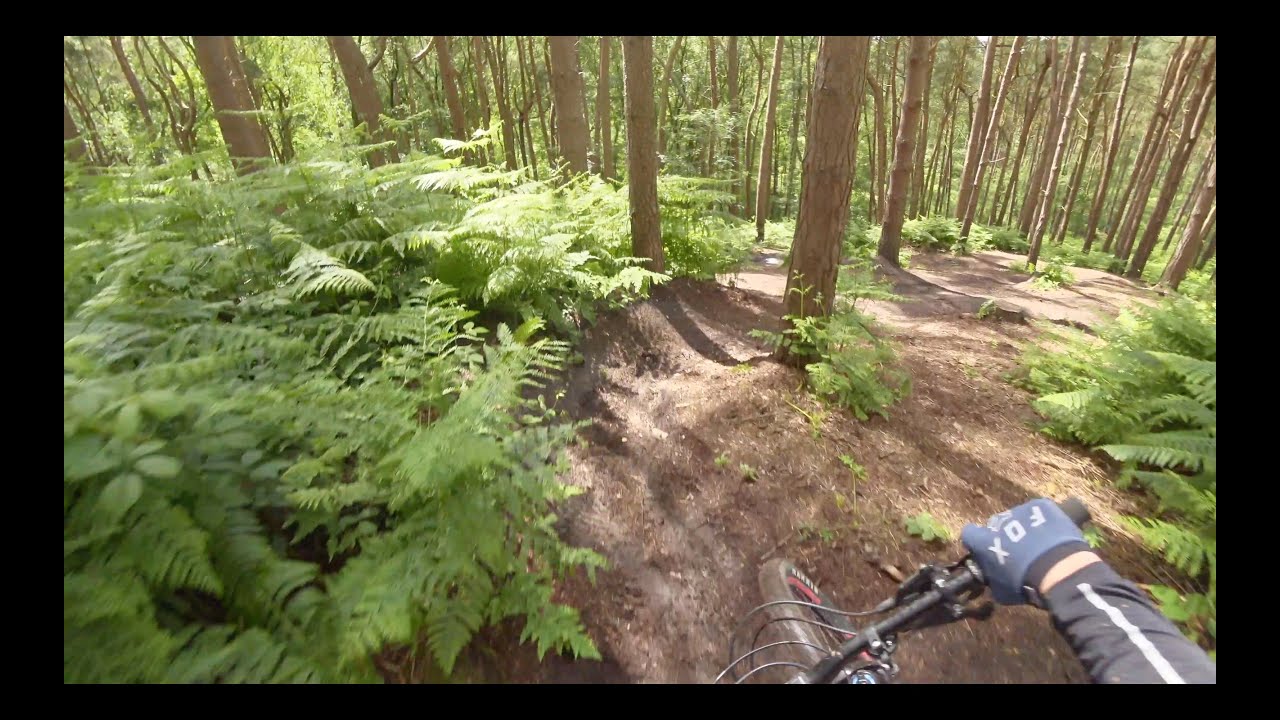 Delamere Forest | MTB| Jump Lines