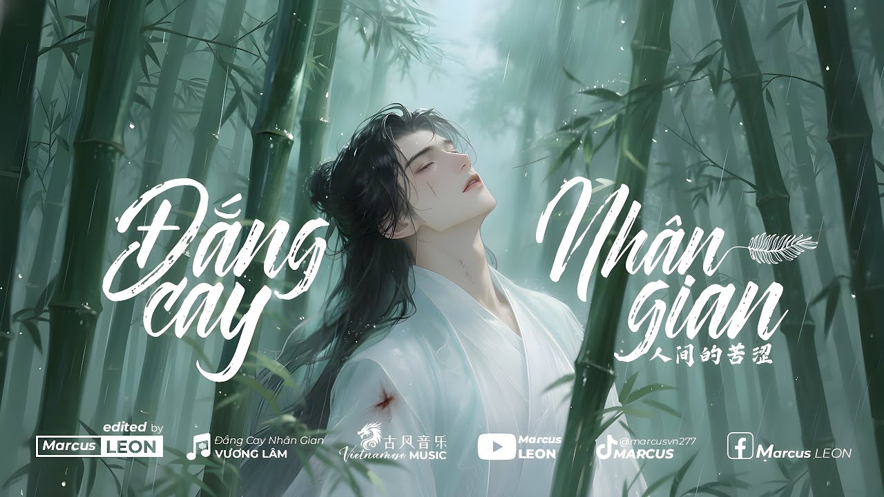 Đắng Cay Nhân Gian - VƯƠNG LÂM | COVER | Nhạc hot TikTok
