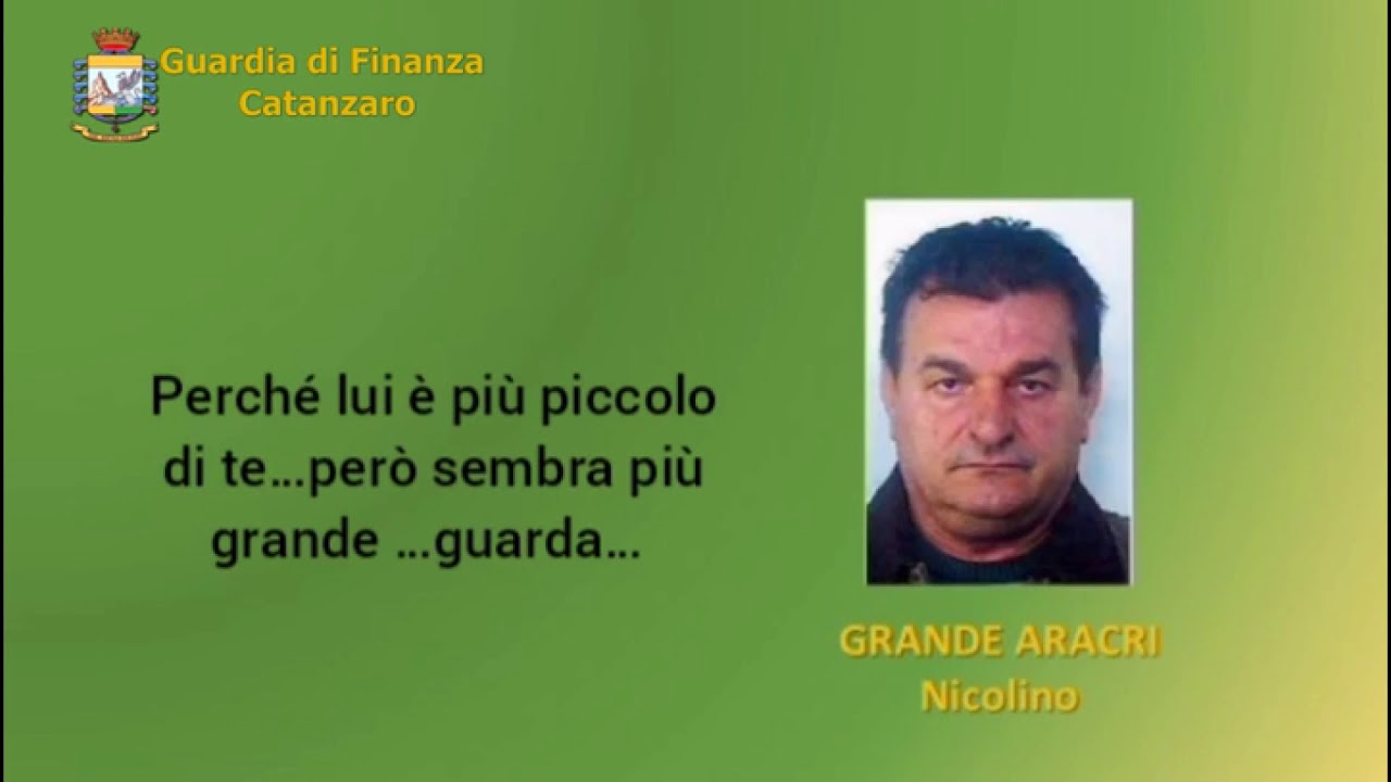 CATANZARO: BLITZ DELLA GDF, 10 MISURE CAUTELARI E 50 MLN SEQUESTRATI