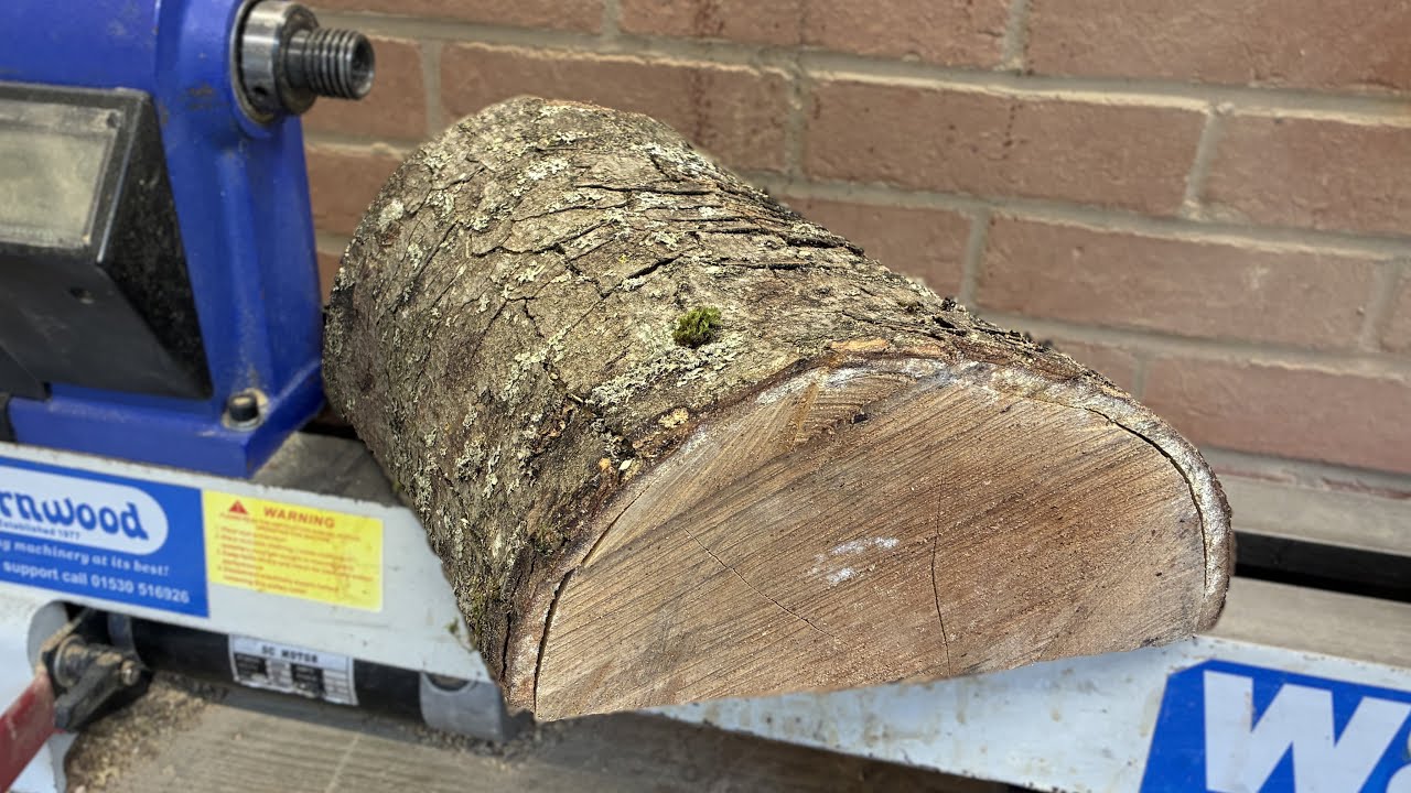 Speckled Sycamore Log - Wood turning