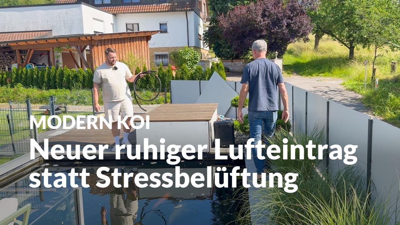 Luft neu gedacht: So bringt Benny seinen Teich wieder ins Gleichgewicht |  Modern Koi Blog #7829