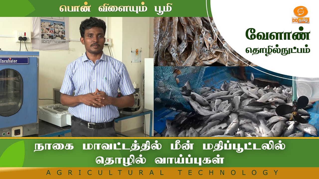 நாகை மாவட்டத்தில் மீன் மதிப்பூட்டலில் தொழில் வாய்ப்புகள் | Agriculture Technology