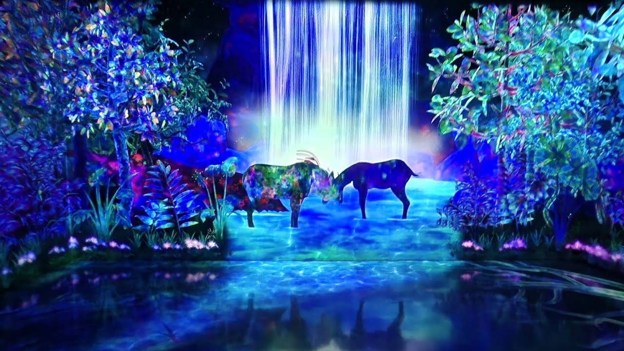 福岡teamLab，迷幻光影