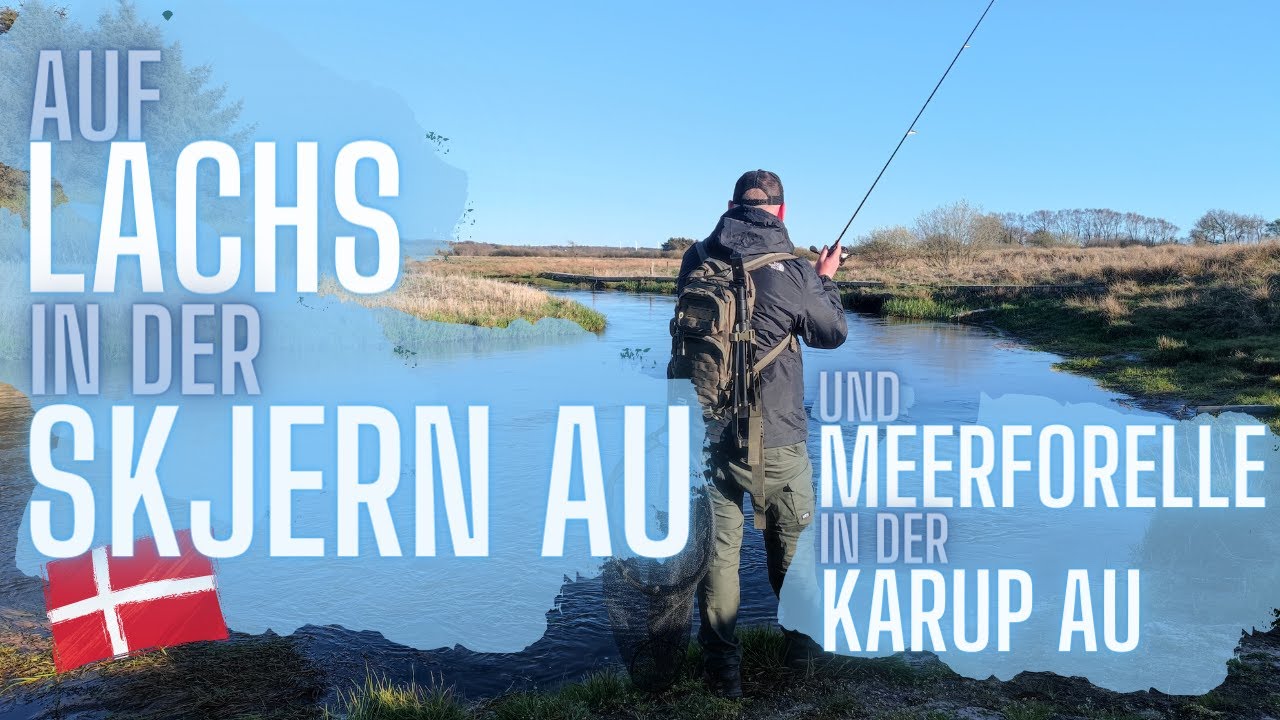 Angeln in Dänemark - Auf Lachs in der Skjern Au und Meerforelle in der Karup Au