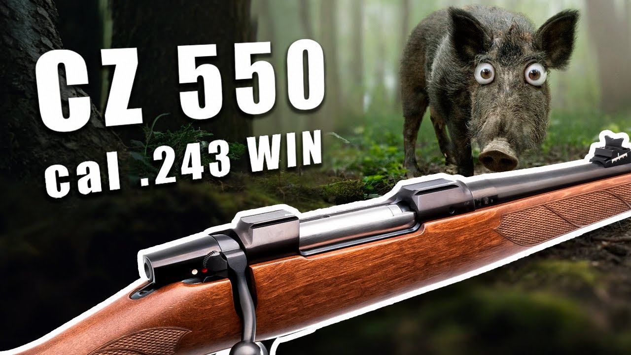 CZ 550 ➕  243 WIN — обзор идеального карабина для средней дичи