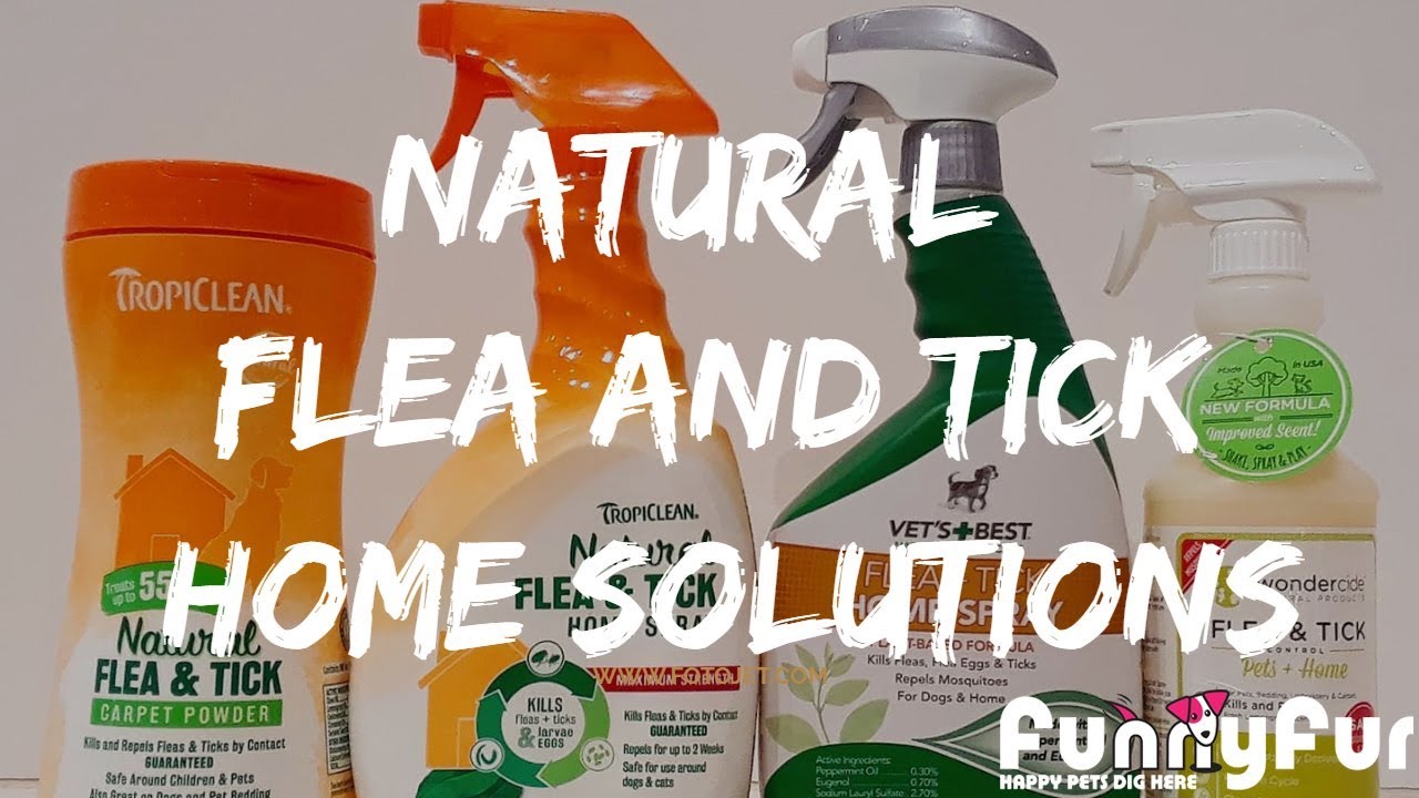 Natural Flea and Tick Home Solutions