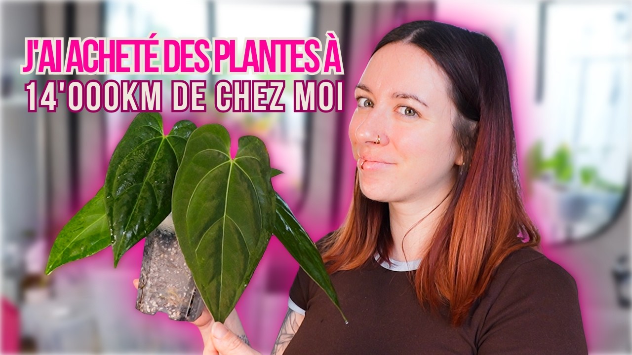 Mon premier import de plantes