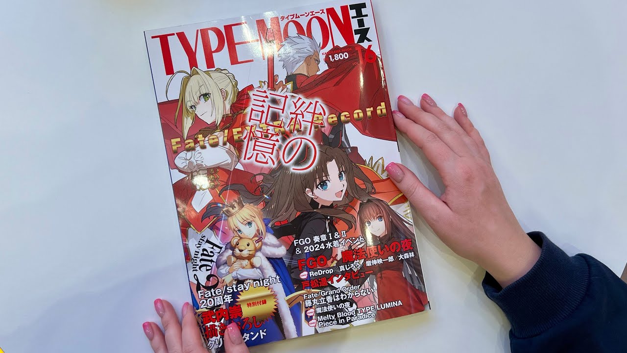 Обзор [Type moon Ace vol. 16] 