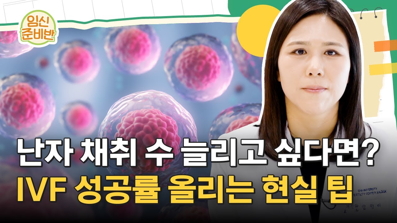 난자 채취 수 늘리고 싶다면? IVF 성공률 끌어올리는 현실 팁