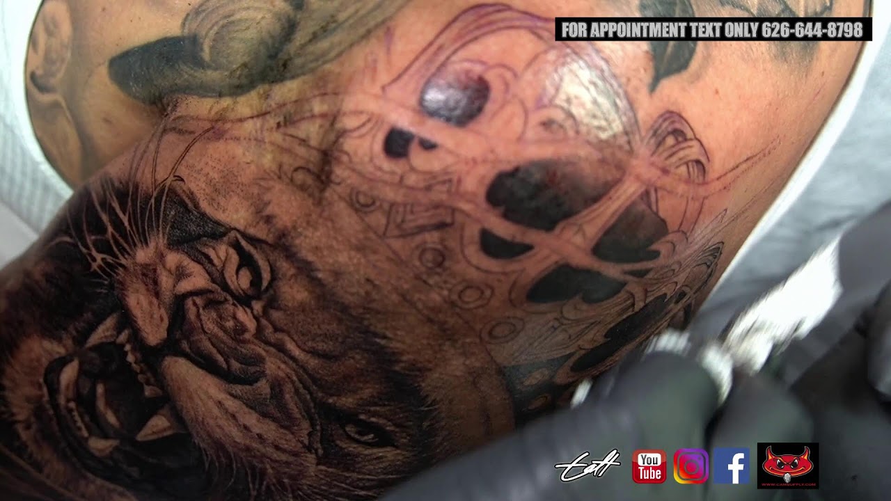 King of the jungle tattoo (Tatt time)